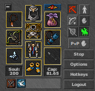 Paladin com bow